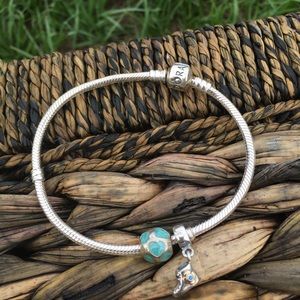 Pandora Jewelry - 100% Authentic Pandora Charm Bracelet Pandora Jewelry - 100% Authentic Pandora Charm Bracelet